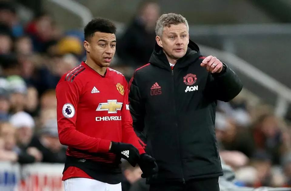 的职业运动 的职业运动